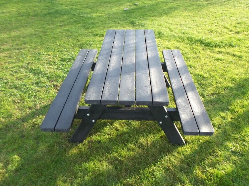 Picnic 2010 - bild 5