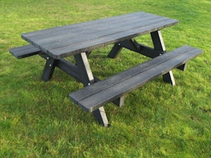 Picnic 2010 - bild 6
