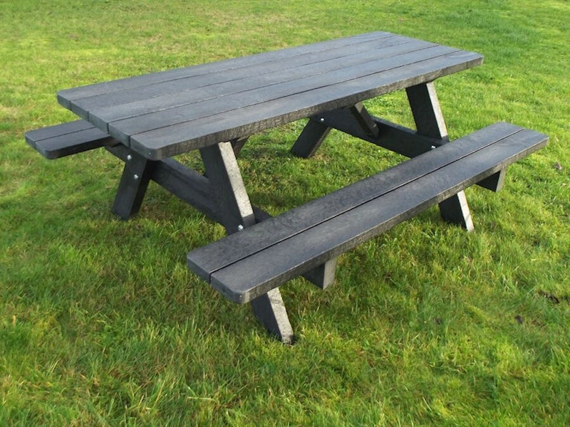 Picnic 2010 - bild 6