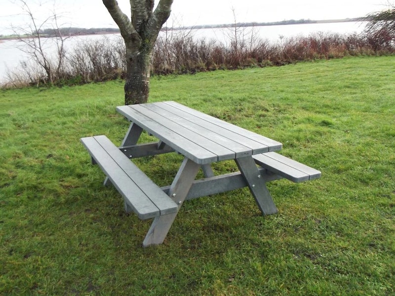 Picnic 2010 - bild 8