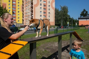 Balansbom Alaia - bild 3