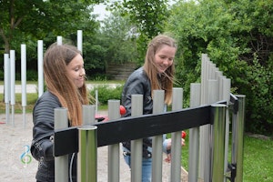 Sopran Diatoniska Freechimes - bild 3