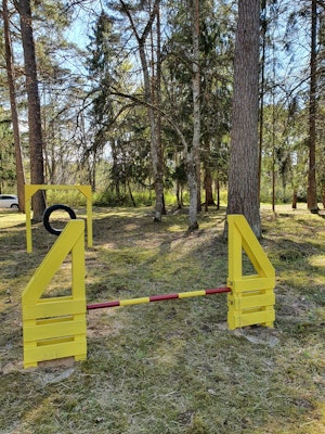 Hoppande hinder - bild 2