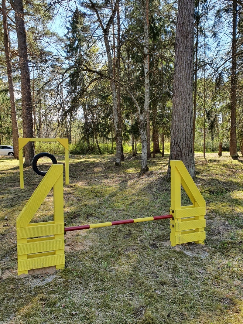 Hoppande hinder - bild 2