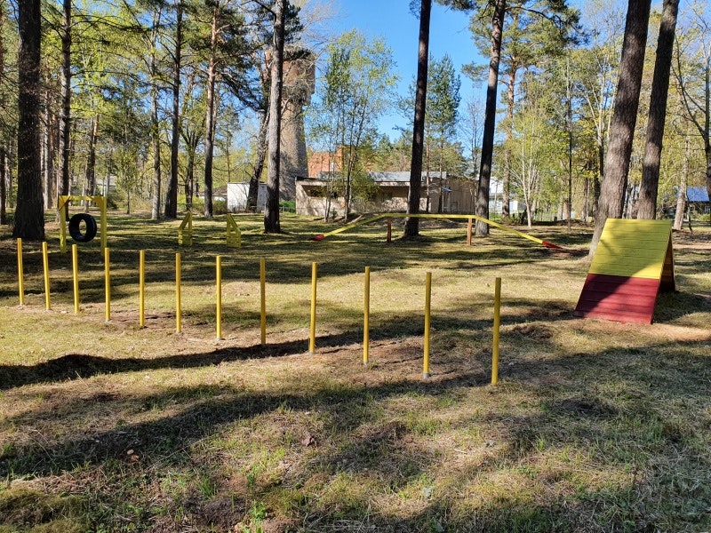 slalomstolpar (12 st) - bild 2