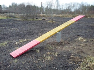 gungbräda - bild 2