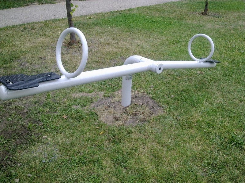 Gungbräda Tulpan - bild 2