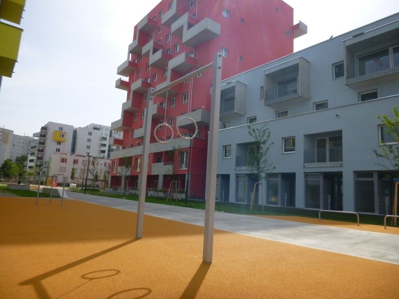 Gymredskap Gymnastikringar - bild 2