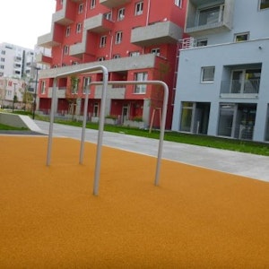 GYMNASTIC RAILS 1