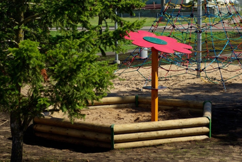 Sandlådeskugga Blomma - bild 2