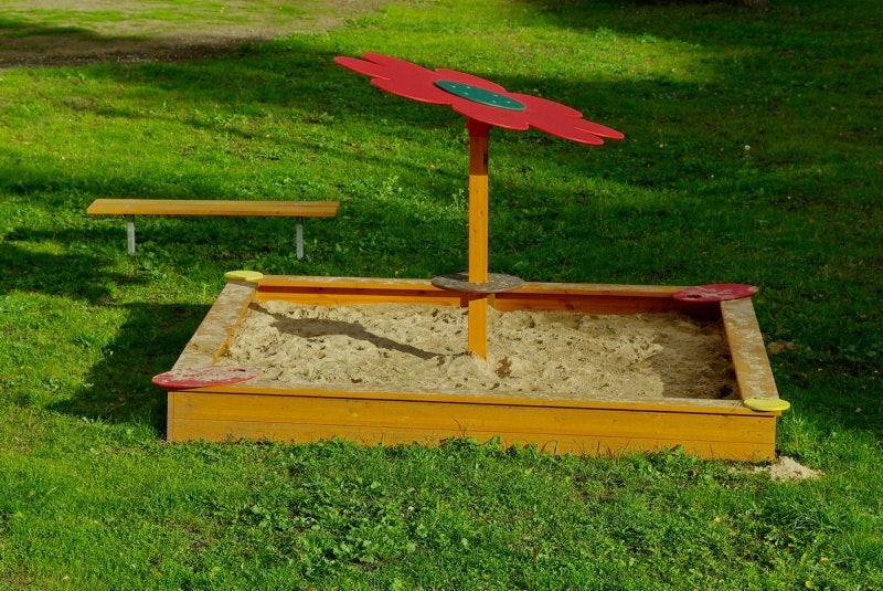 Sandlådeskugga Blomma - bild 5