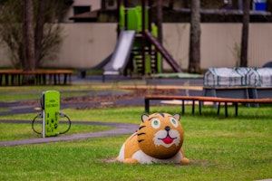 Mini Tiger - bild 3