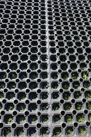 Gräsarmeringsmatta gummi 1000 x 1500 mm (m2) - bild 1