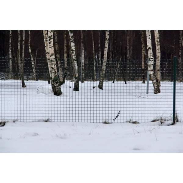 Kedjelänksstaket Svetsad 1,0 m