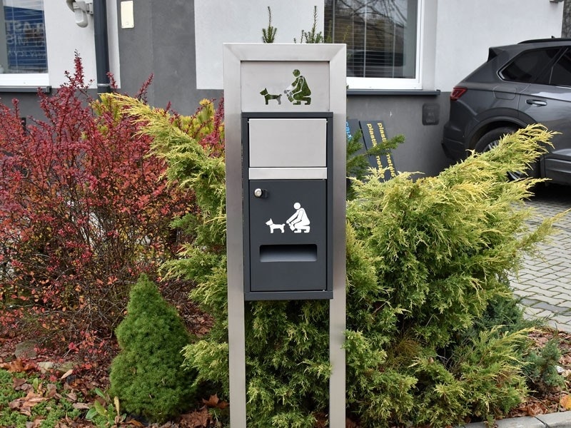 Hundlatrin Fjorden - bild 3