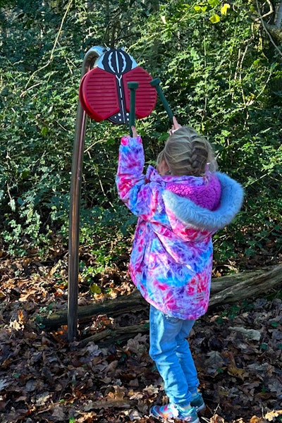 Bug-Beats - Flower Beetle Stor