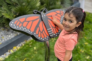 Butterfly - bild 2