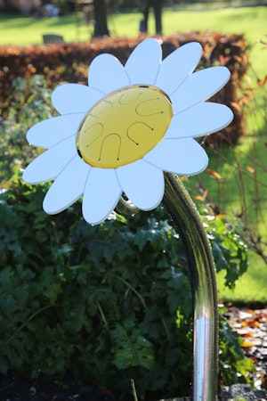 Daisy kronbladstrumma - bild 5