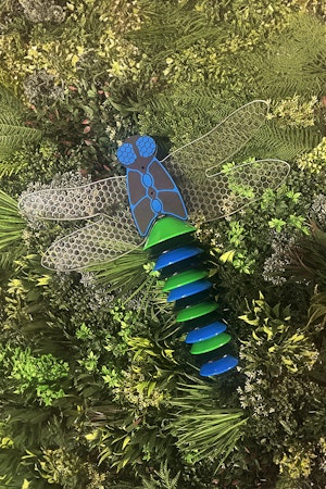 Dragonfly - bild 4