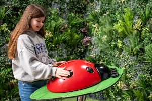 Ladybug - bild 4