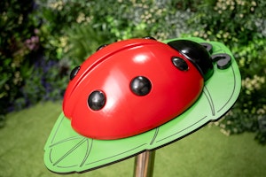Ladybug - bild 2