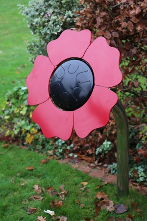 Poppy kronbladstrumma - bild 5