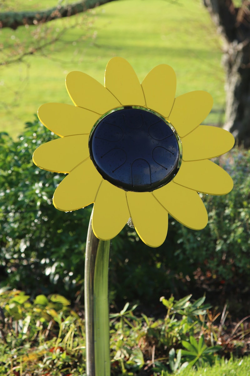 Sunflower kronbladstrumma - bild 2