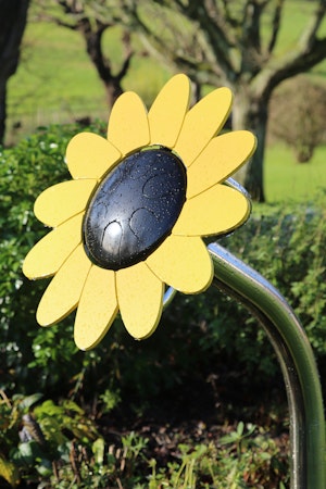 Sunflower kronbladstrumma - bild 8