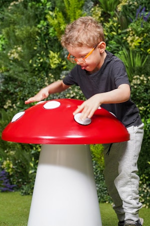 Toadstool - bild 2