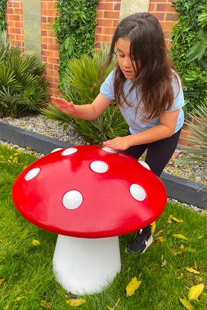 Toadstool - bild 3