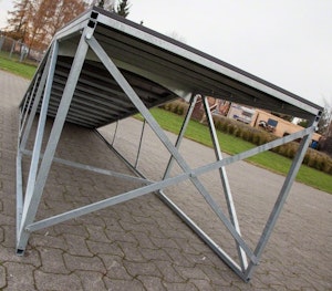 Livia - bild 3