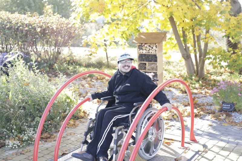 Inkluderande fjädervippa