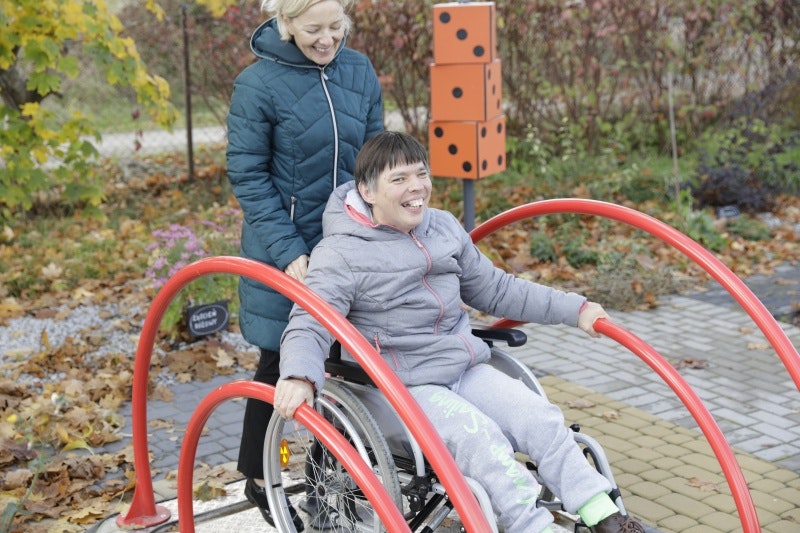 Inkluderande fjädervippa - bild 3