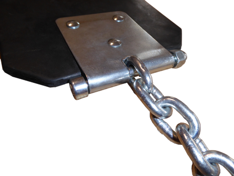 Gungsits Allion - bild 2