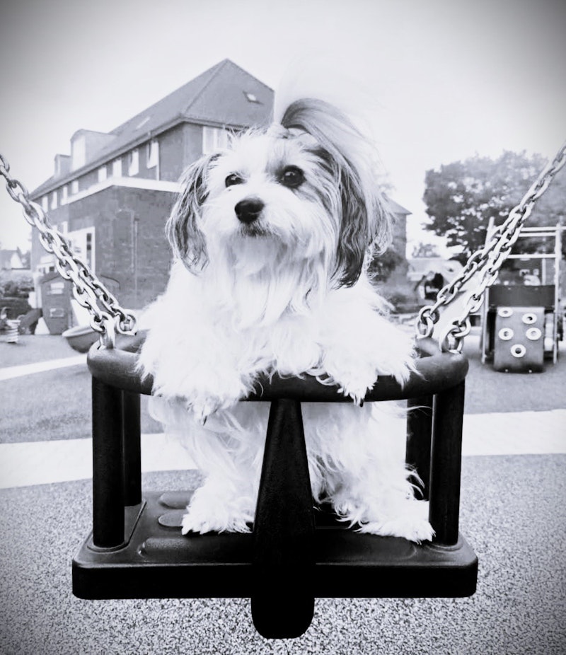 Reservdel - Gungsits - M8 ögonmutter, art. 1264 - bild 17