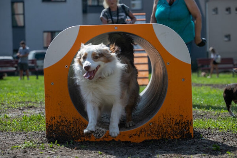 Tunnel Alado - bild 3