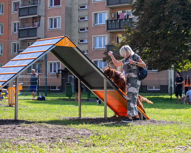 A-hinder Alala - bild 6