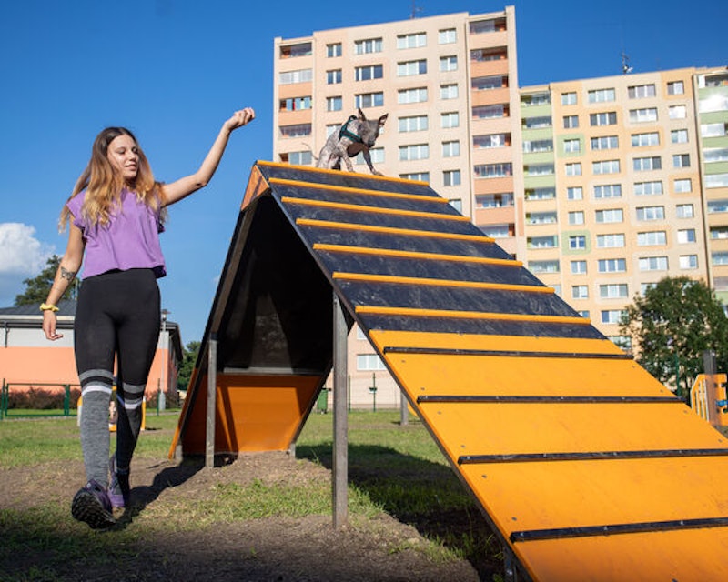 A-hinder Alala - bild 4