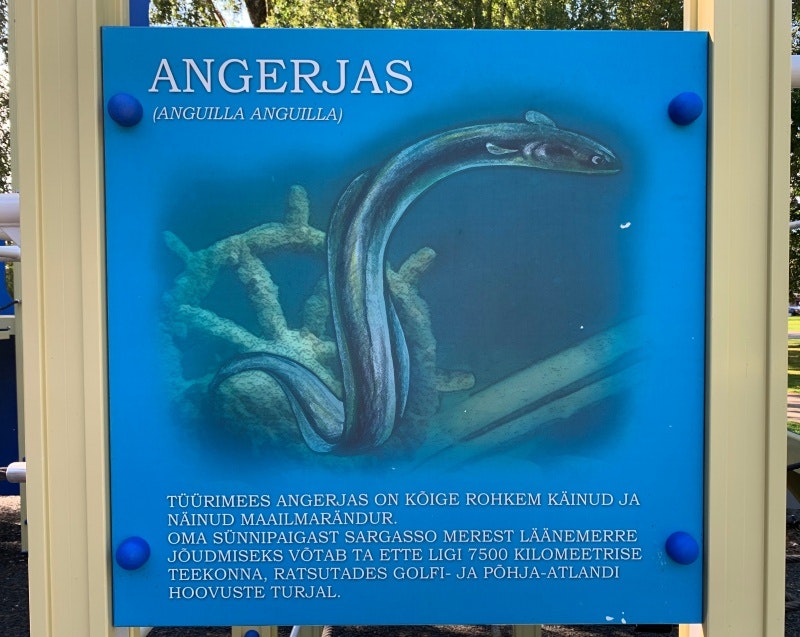 EGET TRYCK - bild 26