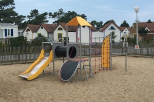 Kamelia - bild 9