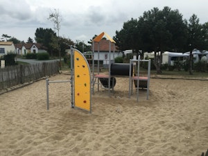 Kamelia - bild 7