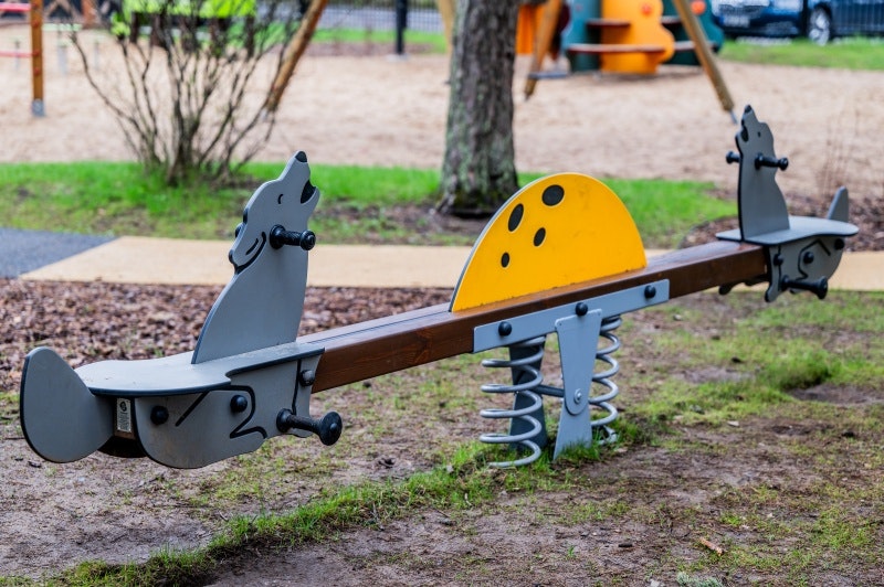 Dansa med vargar - bild 7