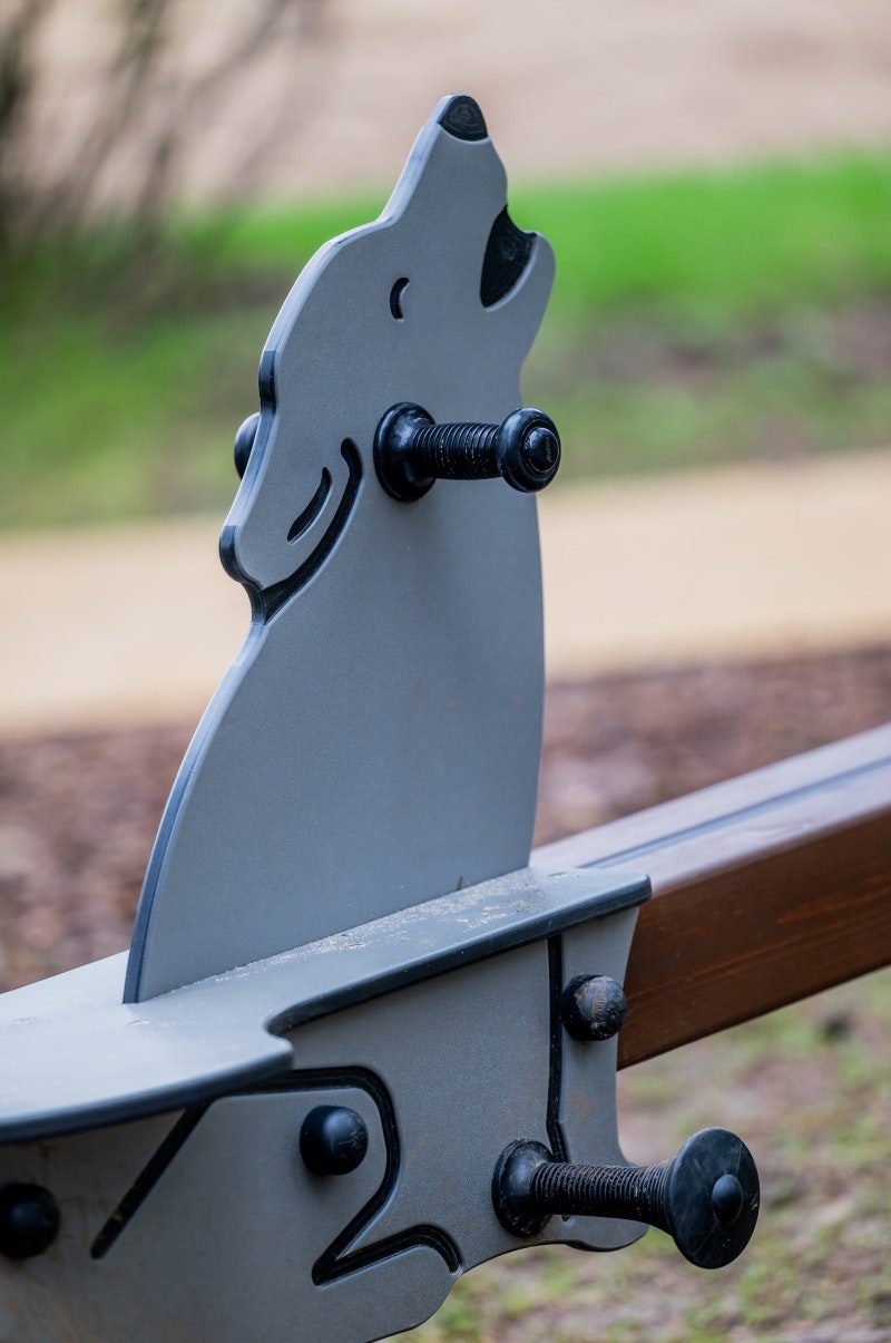 Dansa med vargar - bild 6