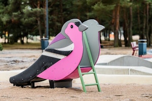 Bofink - bild 8