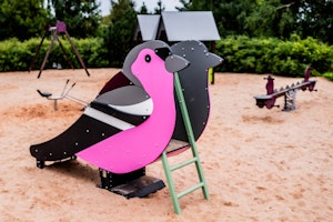 Bofink - bild 9