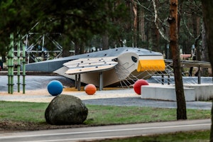 Gåshök - bild 5
