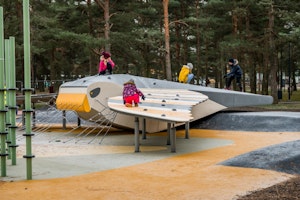 Gåshök - bild 6