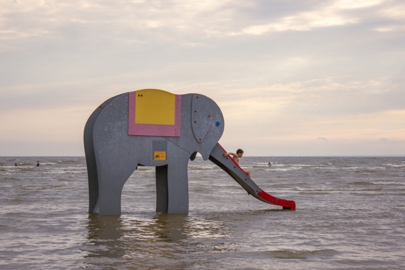 Snabelsnabben - bild 5