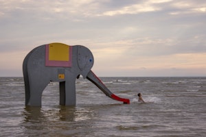 Snabelsnabben - bild 4