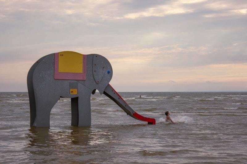 Snabelsnabben - bild 4